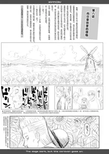 One Piece Kanzenban, 中文