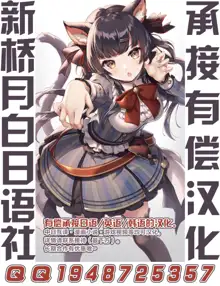 Chaldea Yariman Nanpa Bitch-bu, 中文