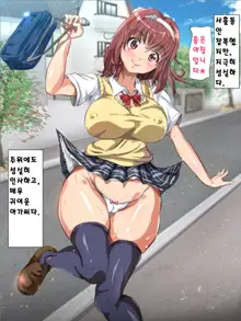 Kokujin Koibito o Mamoru tame ni Baishun Kissa de Hamebenki ni Ochita Seijun Oppai J○, 한국어