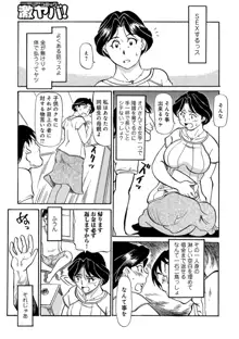 熟れしい休日, 日本語