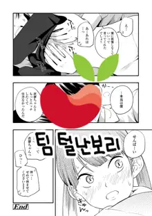 Kokoro no Yori Dokoro Sono Ato, 한국어