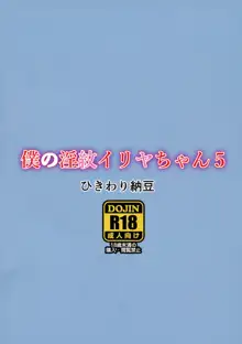 僕の淫紋イリヤちゃん5, 日本語