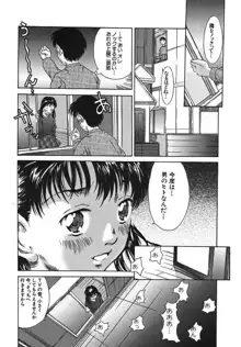 ボクの妹ちゃん, 日本語