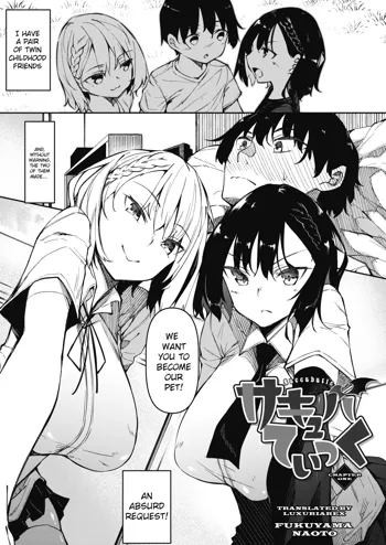 Succubutic Ch. 1, English