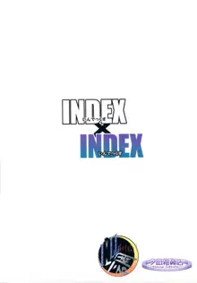 INDEX x INDEX, 中文