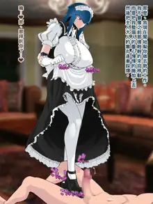 Monmusu House Gaiden ~Maid Android no Jimuteki Seishori~, 中文