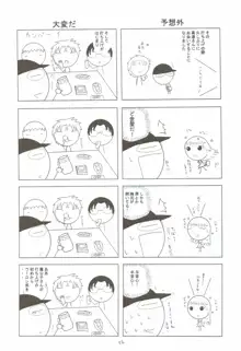 風の妖精3, 日本語