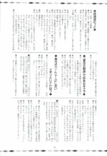 風の妖精3, 日本語