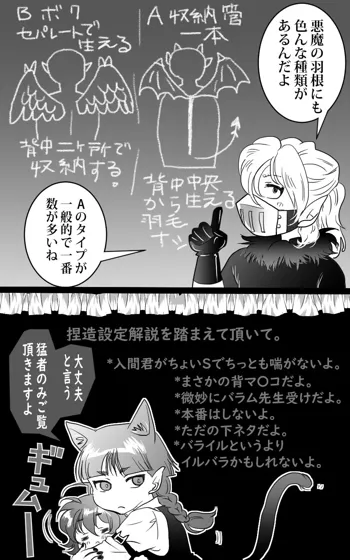 バライル賑やかし漫画, 日本語