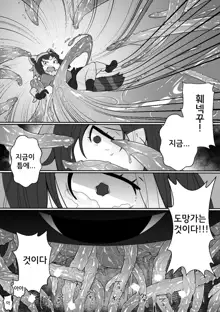 Fennec ga Shokushu ni Yarareru no da!! | 훼넥꾸가 촉수한테 당하고있는 것이다!!, 한국어