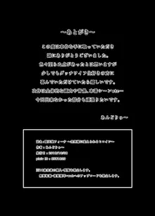 聖天使フィーナ ～空気嫁に変えられるヒロイン～, 日本語