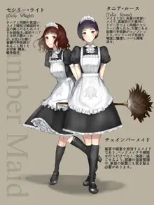 SWAN MAID ACADEMY, 日本語