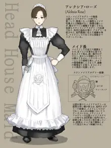 SWAN MAID ACADEMY, 日本語