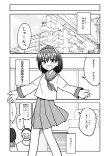 合法小学生はかな！3, 日本語