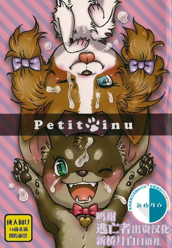 Petit Inu, 中文