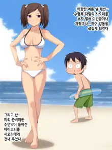 Namaiki! ~Sex Chuudoku na Imouto to Boku no Jouji~｜건방져! 섹스 중독인 여동생과 나의 정사, 한국어