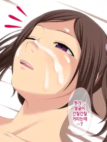 Namaiki! ~Sex Chuudoku na Imouto to Boku no Jouji~｜건방져! 섹스 중독인 여동생과 나의 정사, 한국어