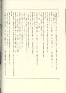 ふたりの兄嫁 AFTER STORY BOOK, 日本語