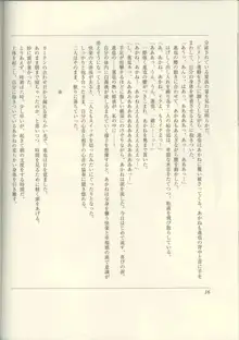 ふたりの兄嫁 AFTER STORY BOOK, 日本語