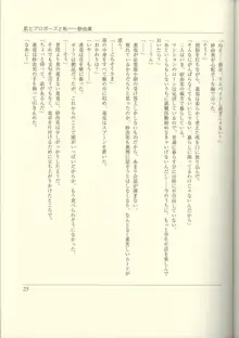 ふたりの兄嫁 AFTER STORY BOOK, 日本語