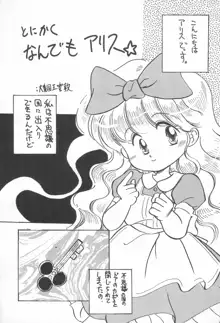 ふぁんはうす 3, 日本語