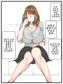 Ero Danchi no Kanrinin 2 | 그림로 단지 관리인 2, 한국어