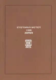 ビリビリかわいいよビリビリ, 日本語