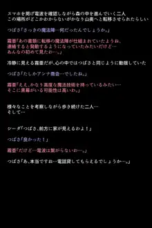 もし英雄たちが敗北し奴隷にされてしまったら!?, 日本語