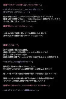 もし英雄たちが敗北し奴隷にされてしまったら!?, 日本語