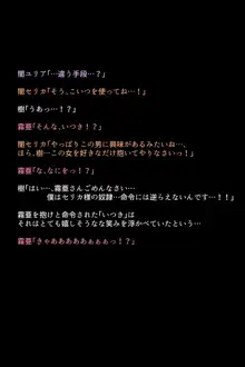 もし英雄たちが敗北し奴隷にされてしまったら!?, 日本語