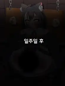 납치감금 캬루쨩, 한국어