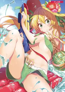 Melonbooks C92 Collection of Pictures, 日本語