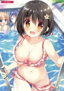 Melonbooks C92 Collection of Pictures, 日本語