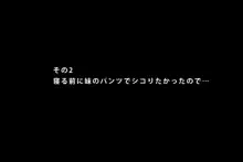 妹 - 妹&アニメキヤラにオナニーを見て貰うCG集, 日本語