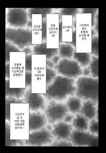 Gentei Kaijo Soushuuhen | 한정해제 총집편, 한국어