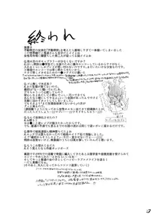 誇り高く汚れを知らない君を犯して♀いいですか, 日本語