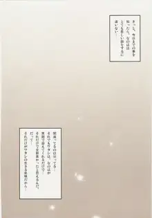 完全調教フェイト式, 日本語