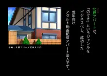 家賃のいらないパコはめアパート ～ワシのアパートビジネス～, 日本語