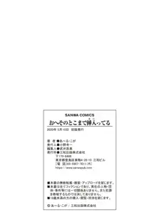 おへそのとこまで挿入ってる, 日本語