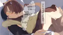 Ore no Kanojo ni wa Nekomimi ga Haeteiru | 나의 여친에겐 고양이 귀가 나 있다, 한국어