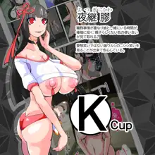 Futanari Dorei Gakuen-ka Keikaku 9, 中文