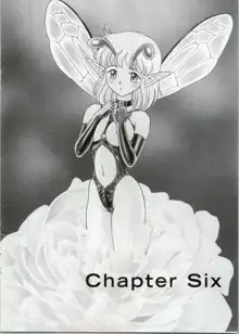 Bondage Fairies Extreme 6, English