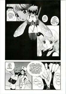 Bondage Fairies Extreme 10, English