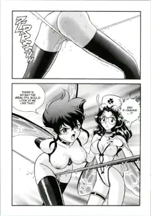 Bondage Fairies Extreme 10, English