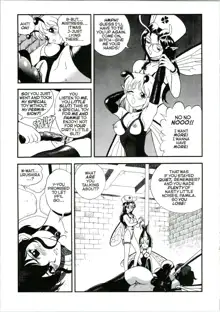 Bondage Fairies Extreme 11, English