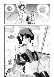 Bondage Fairies Extreme 9, English