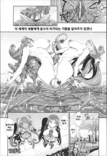 Majuu Jouka Shoujo Utea, 한국어