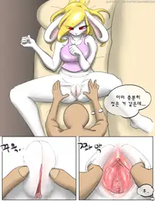 토끼 누나 고양이 여동생, 한국어