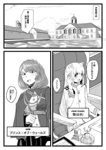 ゆき指揮官とふたなり艦隊, 日本語