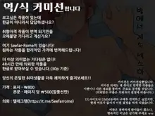 A story about having sex in a room, 한국어